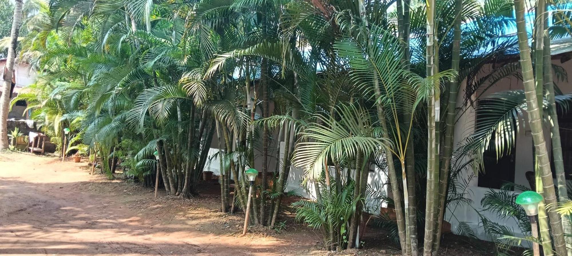 Casa Beach Hut Resort Palolem Extérieur photo