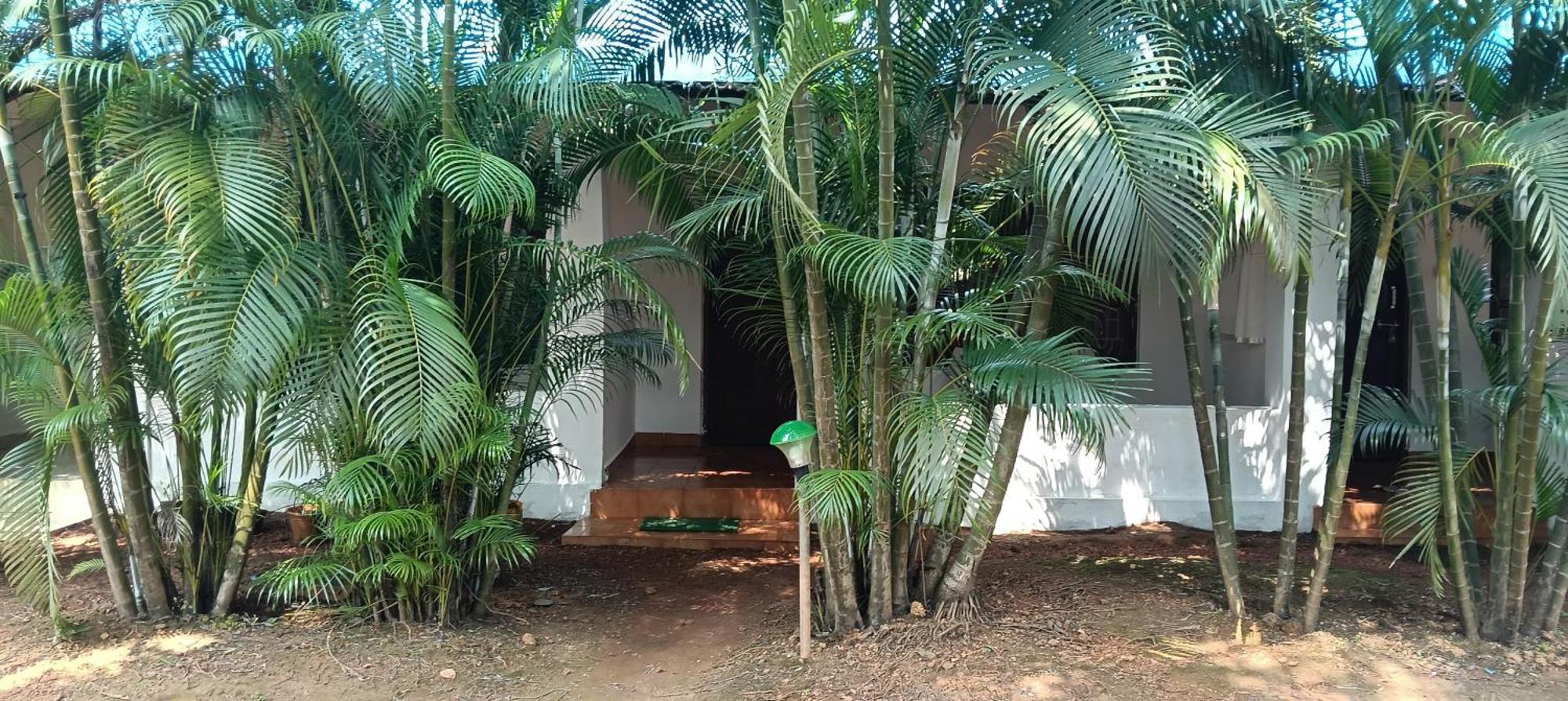 Casa Beach Hut Resort Palolem Extérieur photo